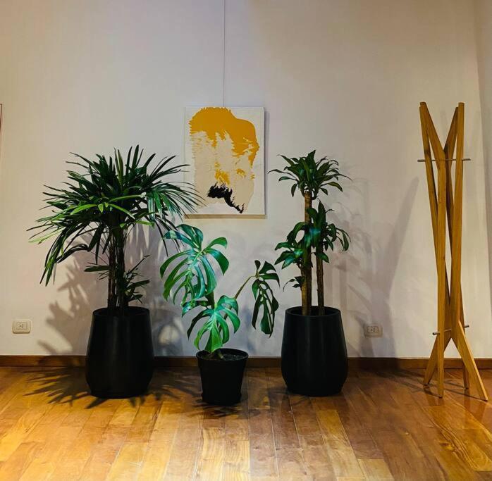 דירות Arts Loft, A Estrenar! בואנוס איירס מראה חיצוני תמונה